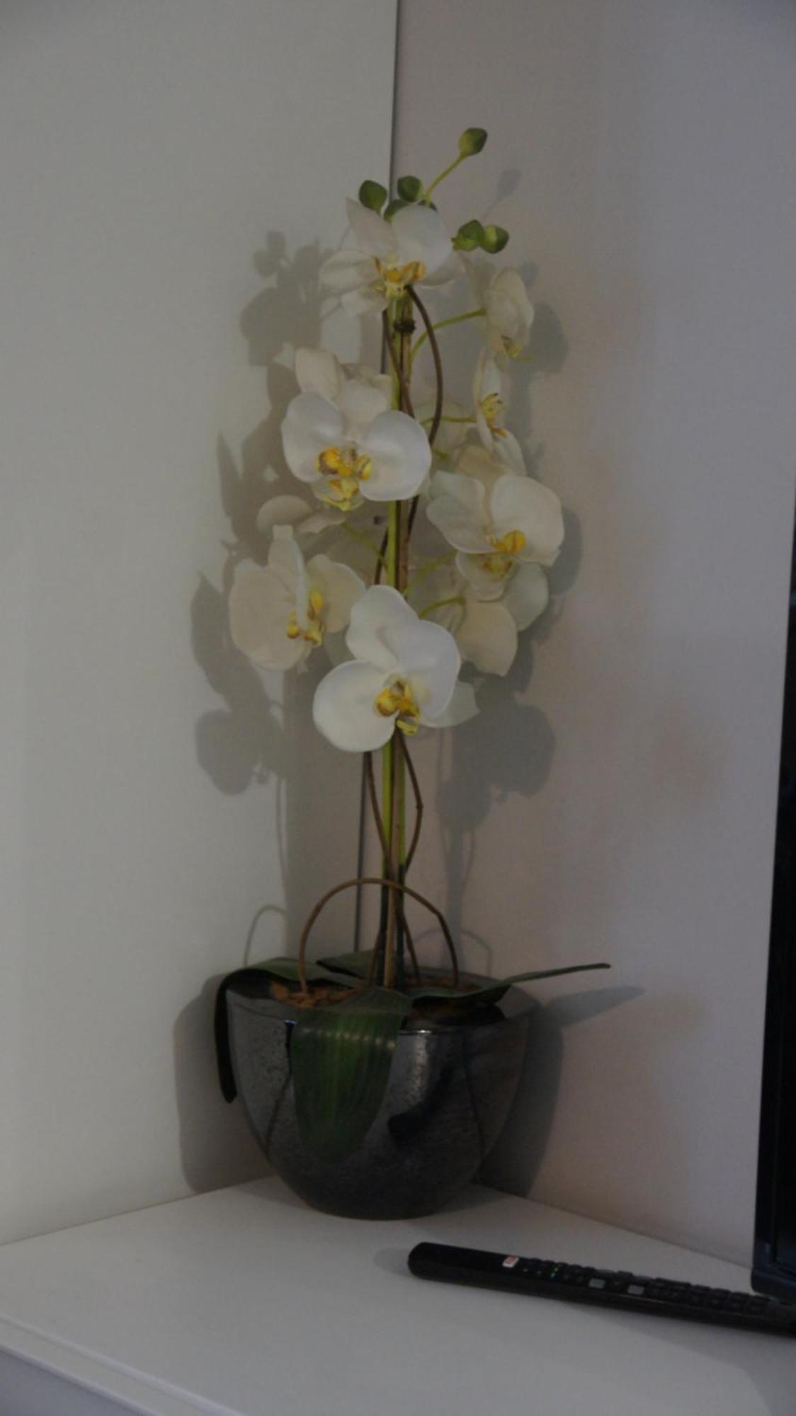 Mia Mia House Hostel คาโตวีตเซ ภายนอก รูปภาพ